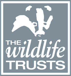 Surrey Wildlife Trust